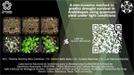A non-invasive method to predict drought survival in Arabidopsis using quantum yield under light conditions