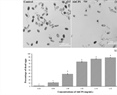 Nematicidal effect of an Amaranthus hypochondriacus L. cystatin (AhCPI) on the root-knot nematode Meloidogyne incognita (Kofoid and White) Chitwood