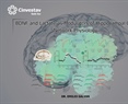 Emilio Galvan - BDNF and Lactate as Modulators of Hippocampal CA3 Network Physiology