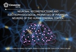 Dra. Luisa Rocha y el Dr. Emilio Galván - NEURONAL RECONSTRUCTIONS AND ELECTROPHYSIOLOGICAL PROPERTIES OF PYRAMIDAL NEURONS OF THE HUMAN CEREBRAL CORTEX.