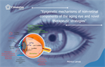 Dra. Monica Lamas - Epigenetic mechanisms of non-retinal components of the aging eye and novel therapeutic strategies