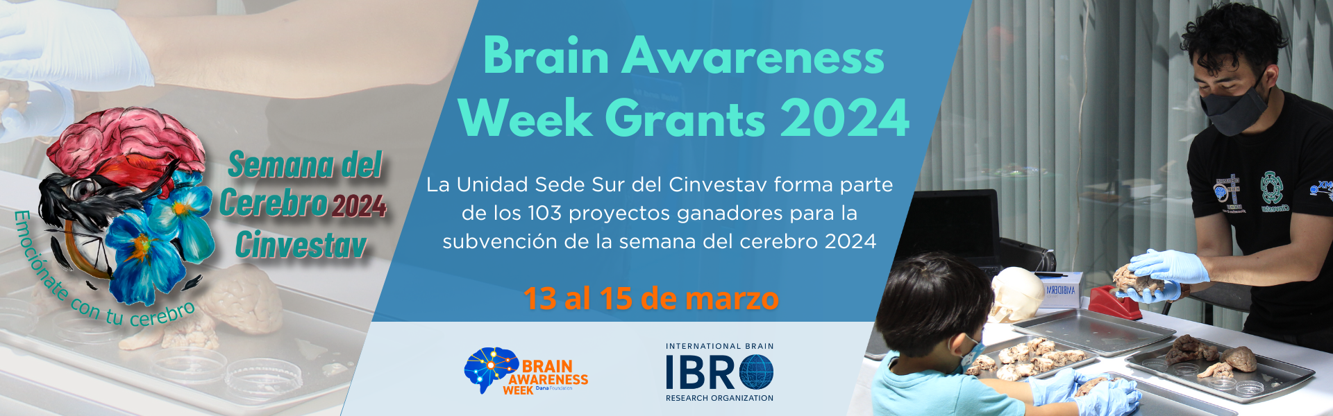 Brain Awareness Week Grants 2024