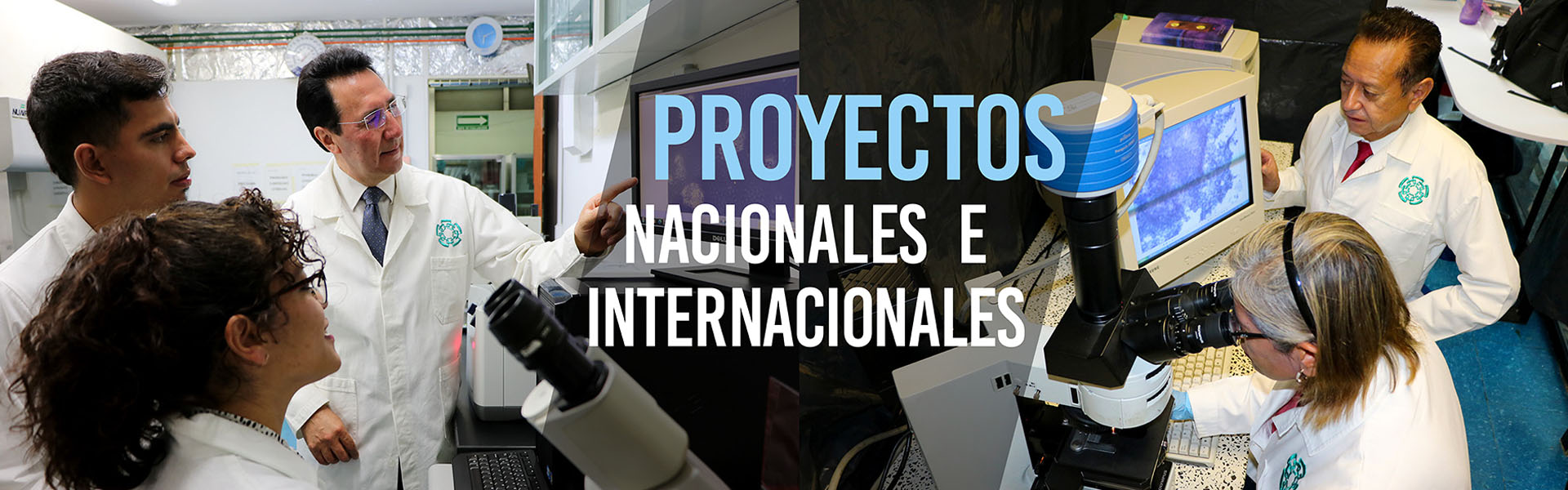 Proyectos Nacionales e Internacionales