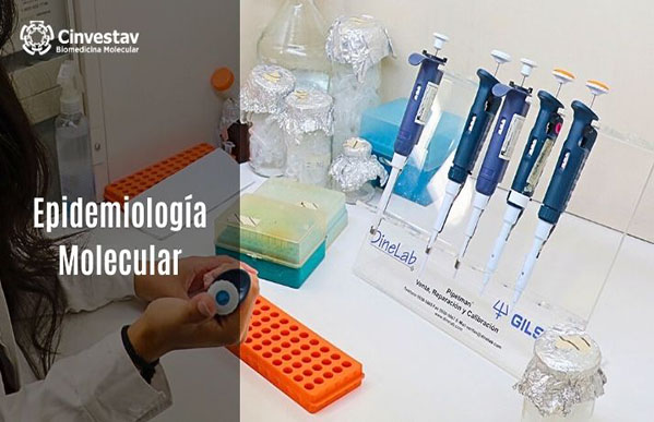 Epidemiología Molecular