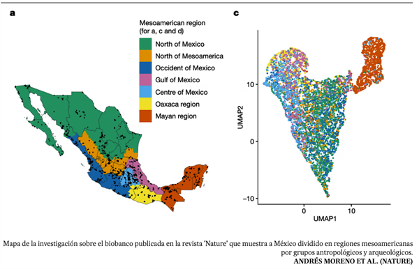 El mapa genético que revela la diversidad de los mexicanos y los riesgos de enfermedades más comunes