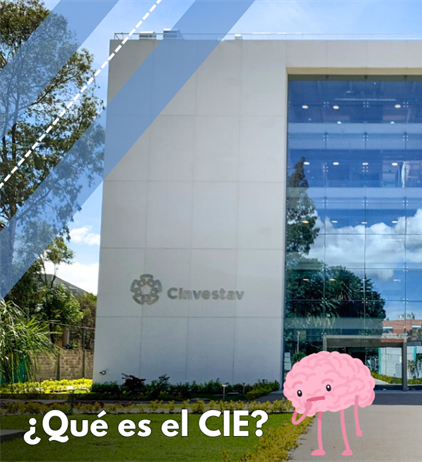 ¿Qué es el CIE?