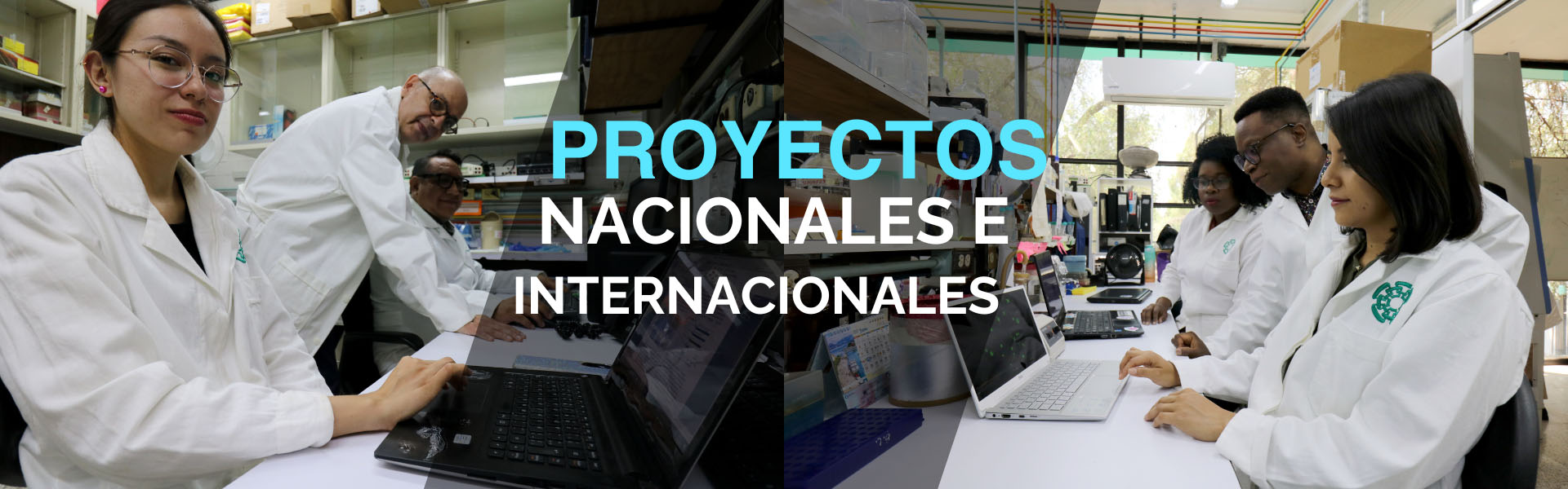 Banner - Proyectos