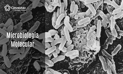 Microbiología Molecular