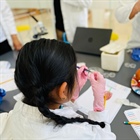 Pequeñas de Irapuato se acercan a la Genómica y Biología molecular con el DIF y el Cinvestav