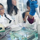 En el Cinvestav acercan a niñas a la ciencia