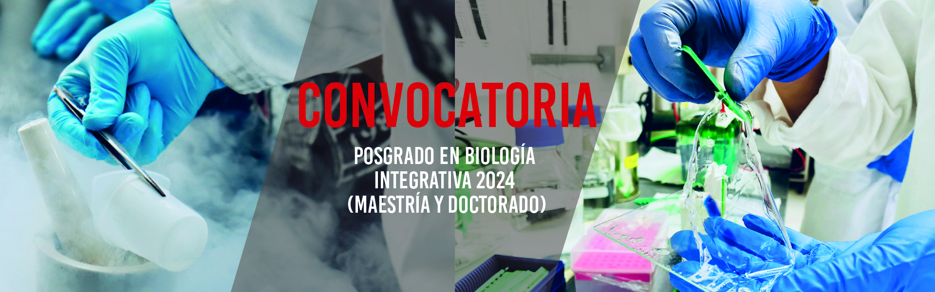 Posgrado en Biología Integrativa 2024 (Maestría y Doctorado)