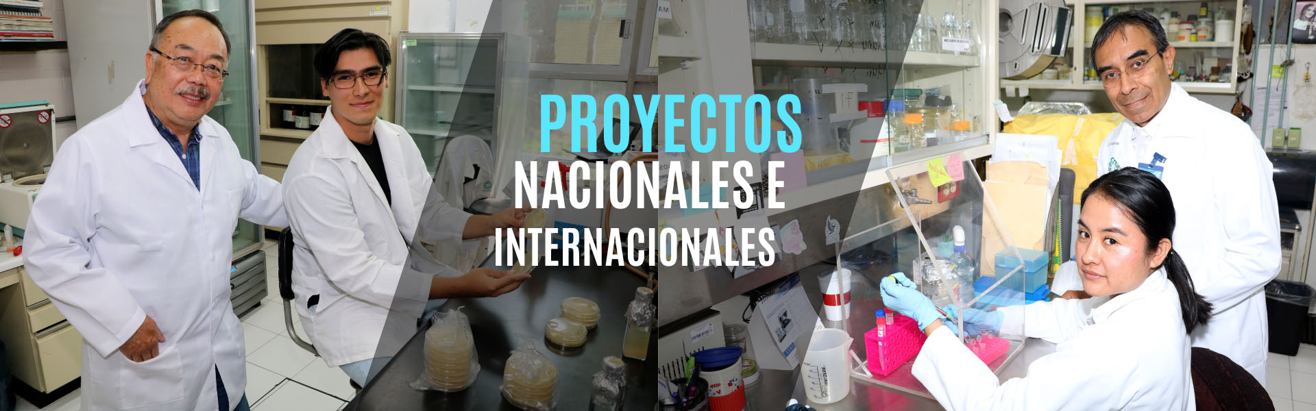 Banner Proyectos