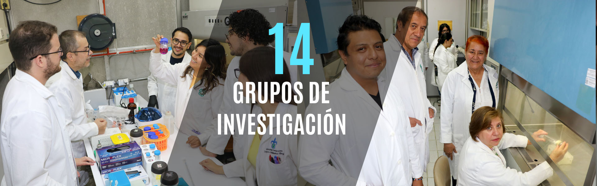 Banner Lineas de investigacion