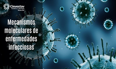 Mecanismos moleculares de enfermedades infecciosas