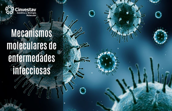 Mecanismos moleculares de enfermedades infecciosas