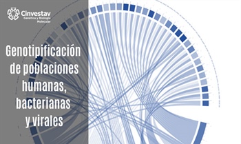 Genotipificación de poblaciones humanas, bacterianas y virales.