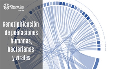 Genotipificación de poblaciones humanas, bacterianas y virales.