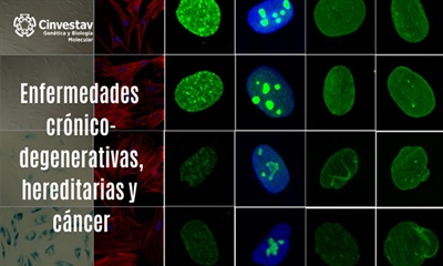 Enfermedades crónico-degenerativas, hereditarias y cáncer