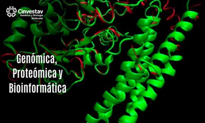 Genómica, proteómica y bioinformática.