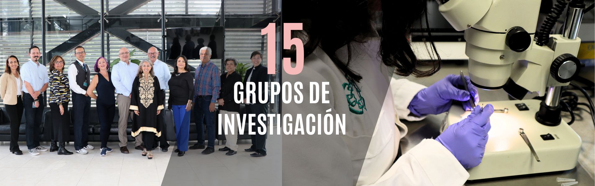 Banner Lineas de investigacion