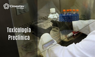 TOXICOLOGÍA PRECLÍNICA