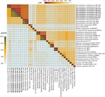 Genome-Scale Model of Rhizopus microsporus: Metabolic integration of a fungal holobiont with its bacterial and viral endosymbionts