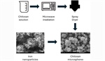 Arsenate Adsorption from Aqueous Solutions Using Chitosan/Fe-Nanoparticles Composite Microspheres