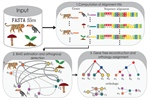 REvolutionH-tl: Reconstruction of Evolutionary Histories tool