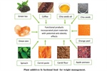 Plant Materials for the Production of Functional Foods for Weight Management and Obesity Prevention
