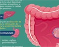 La salud digestiva