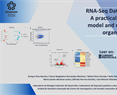 RNA-Seq Data Analysis: A Practical Guide for Model and Non-Model Organisms