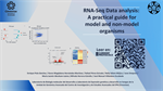 RNA-Seq Data Analysis: A Practical Guide for Model and Non-Model Organisms
