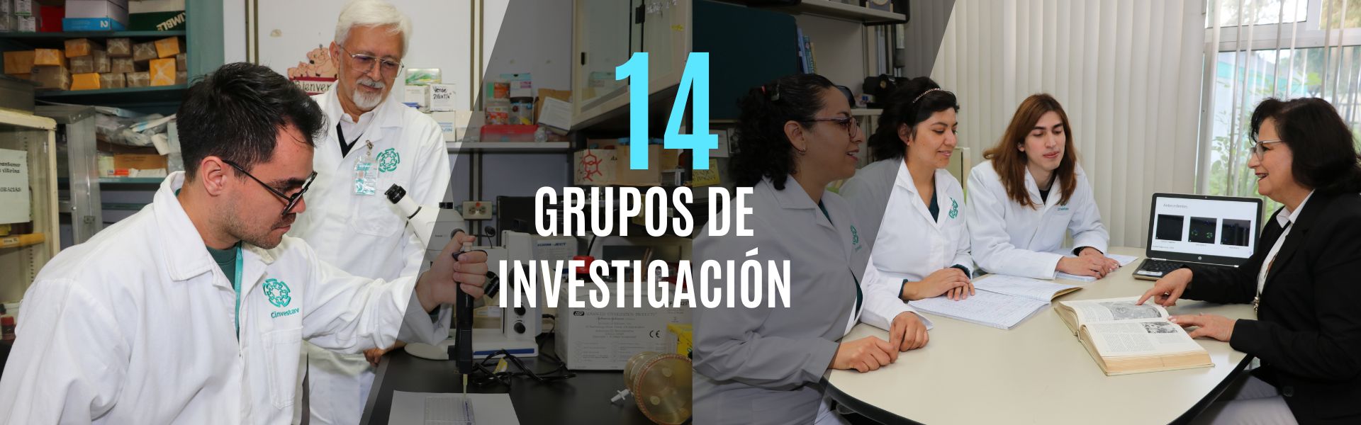 Grupos de Investigación