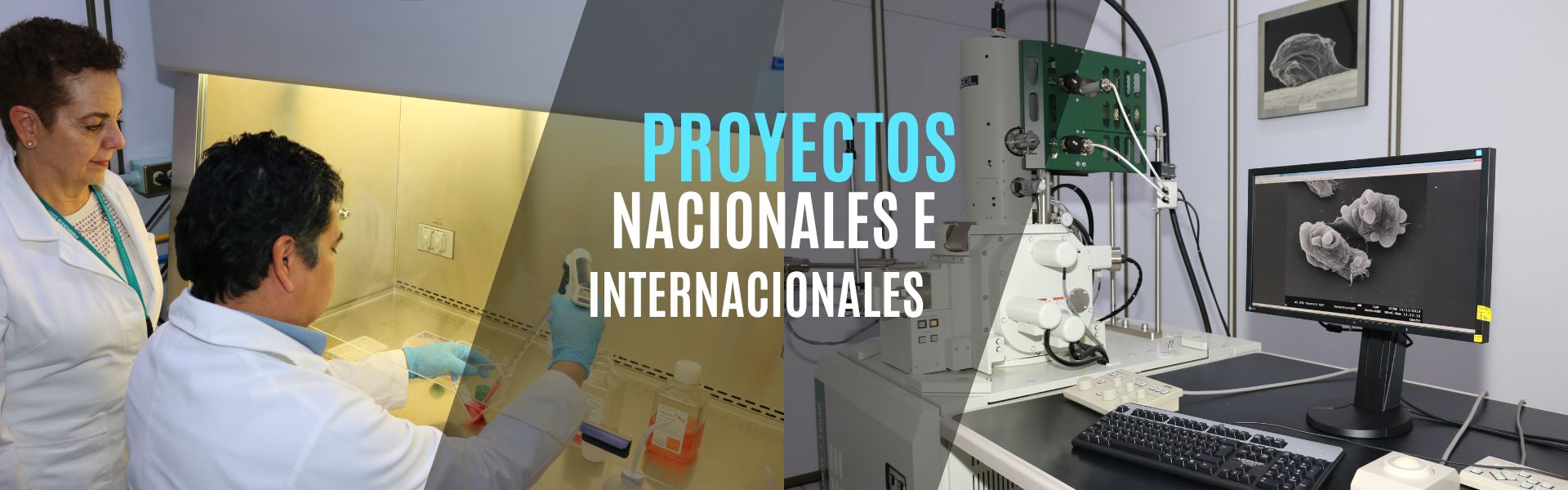 Proyectos Nacionales e Internacionales