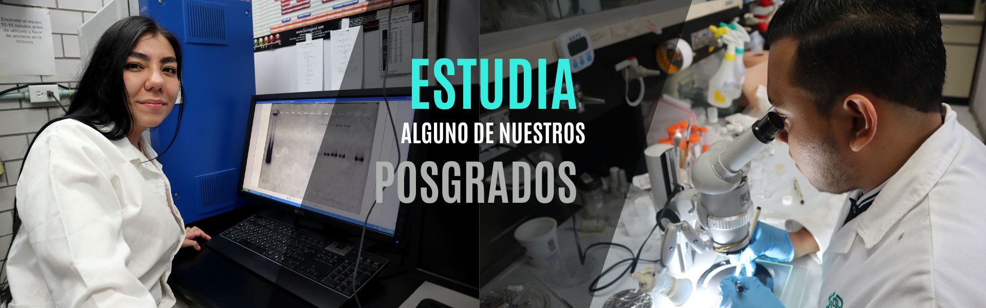 Estudia Algunos de Nuestros Posgrados