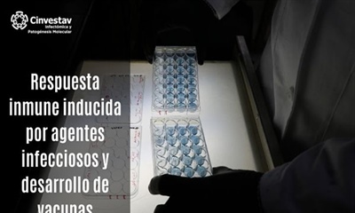 Estudio de la respuesta inmune inducida por agentes infecciosos y desarrollo de vacunas