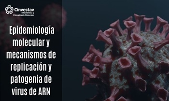 Epidemiologia molecular y mecanismos de replicación y patogenia del virus de ARN