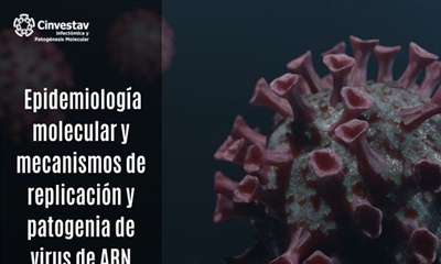 Epidemiologia molecular y mecanismos de replicación y patogenia del virus de ARN