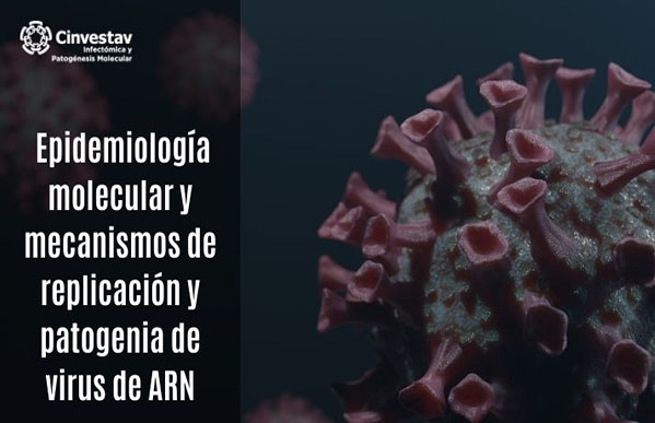 Epidemiologia molecular y mecanismos de replicación y patogenia del virus de ARN