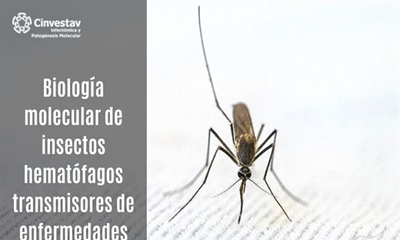 Biología molecular de insectos hematófagos transmisores de enfermedades