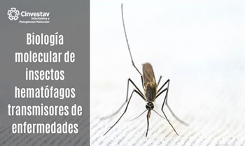 Biología molecular de insectos hematófagos transmisores de enfermedades