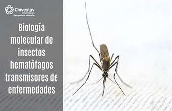 Biología molecular de insectos hematófagos transmisores de enfermedades