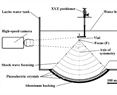 Underwater Shock Wave-Enhanced Cavitation to Induce Morphological Changes and Cell Permeabilization in Microscopic Fungi