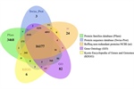 Transcriptomic analysis of Chaetoceros muelleri in response to different nitrogen concentrations reveals the activation of pathways to enable efficient nitrogen uptake