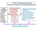 A concept for international societally relevant microbiology education and microbiology knowledge promulgation in society