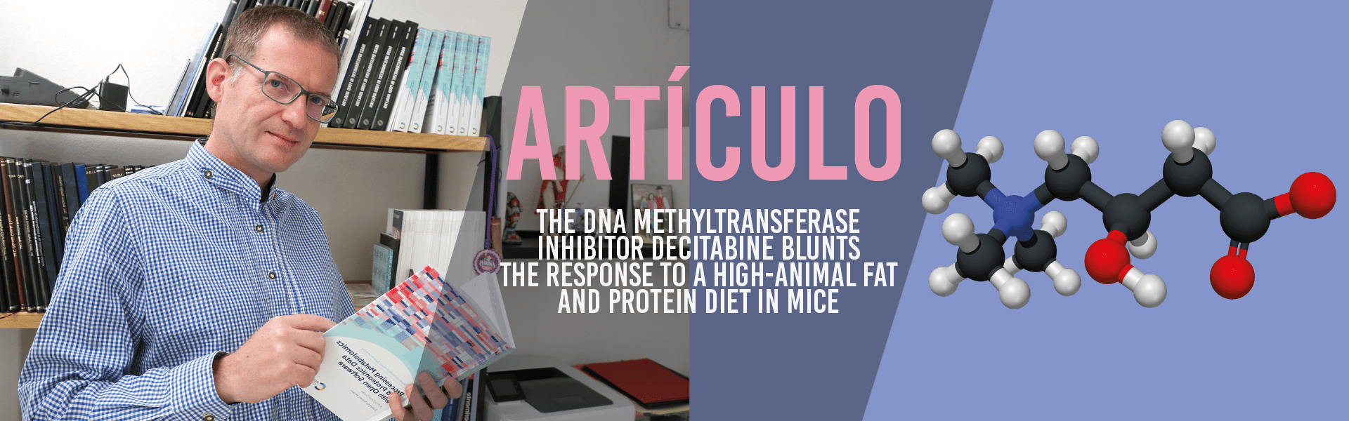 The DNA methyltransferase inhibitor decitabine blunts the response to a high-animal fat and protein diet in mice