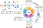 Qualitative Perturbation Analysis and Machine Learning: Elucidating Bacterial Optimization of Tryptophan Production