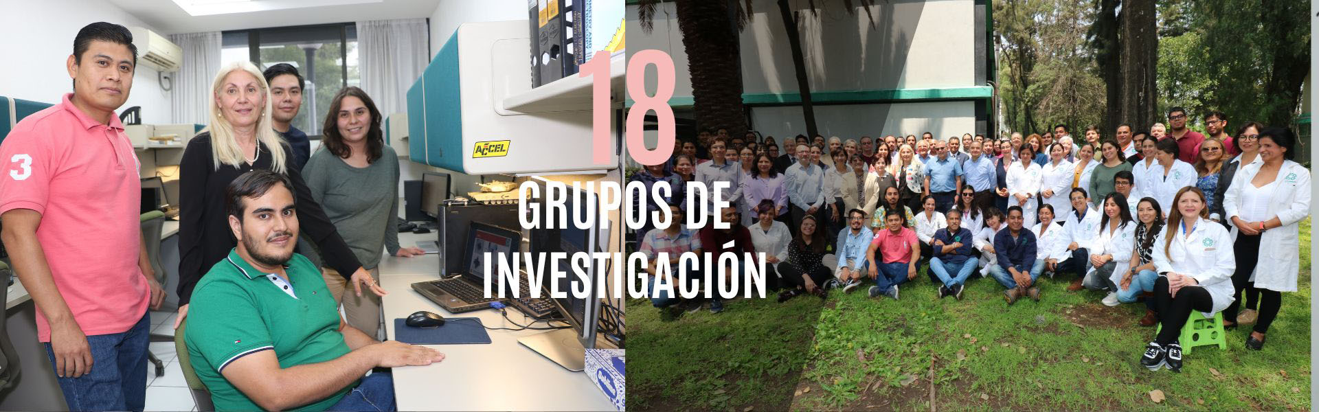 Grupos de investigación