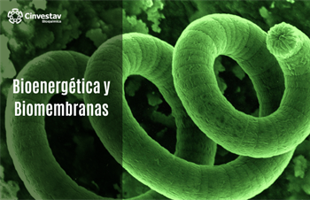 Bioenergética y biomembranas