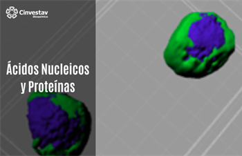 Ácidos nucleicos y proteínas: estructura, función y metabolismo